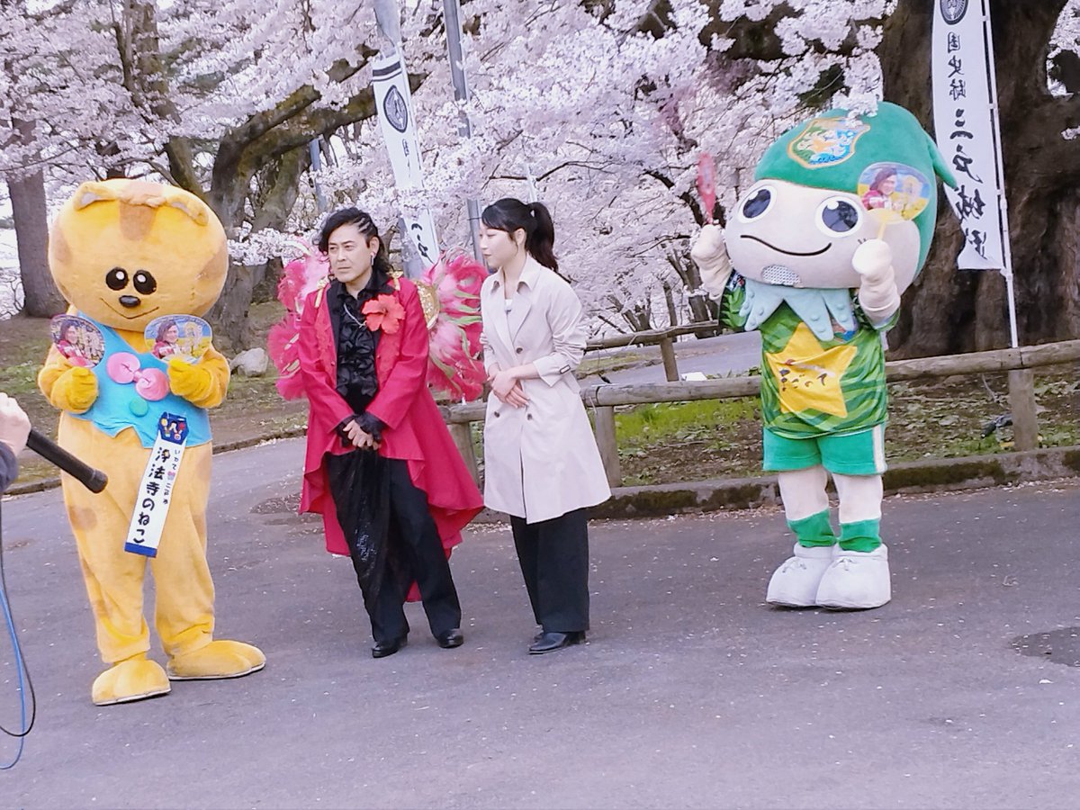ayaringo6023's tweet photo. 地元の公園で浄法寺のねこちゃんに遭遇🌸
会えると思ってなかったからびっくり😲
ねこちゃん可愛かった🩷
愛犬にも手を振ってくれて嬉しかったニャー😺👋🩷 https://t.co/IPD5umQX9D