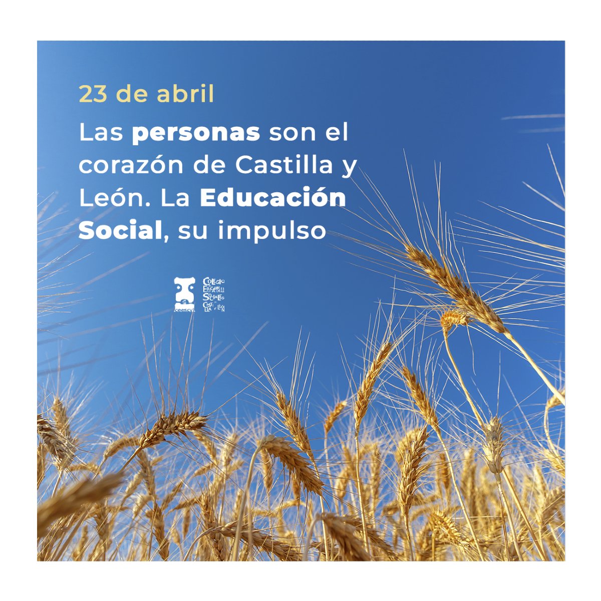 ¡Feliz día a todas las personas de esta bonita comunidad! 💜

Sigamos llenándola de punta a punta de Educación Social.

#CEESCYL20Años #EducaciónSocial #CastillayLeón