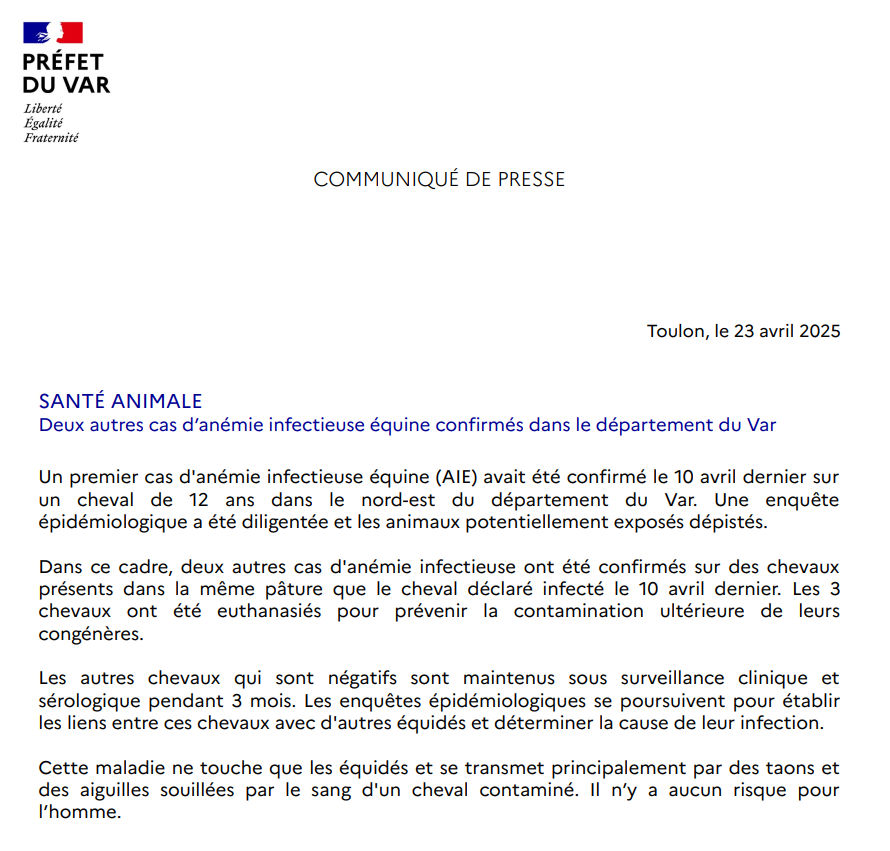 Prefet83's tweet image. #SantéAnimale | 2⃣ nouveaux cas d'anémie infectieuse équine ont été détectés sur des chevaux présents dans la même pâture que le premier étalon déclaré infecté le 10 avril dernier dans le Nord-Est du #Var. 
📌Cette maladie virale incurable concerne exclusivement les équidés
