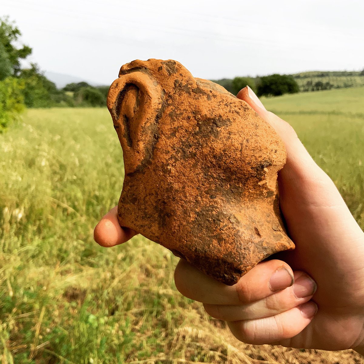 Su Archeo di aprile: un lungo articolo sull’IMPERO Project!

Dalla foce dell’Ombrone a Podere Cannicci e Castellaraccio, tra Etruschi e Medioevo: mobilità, insediamenti e archeologia in Maremma.

Ne parliamo su Archeo!
