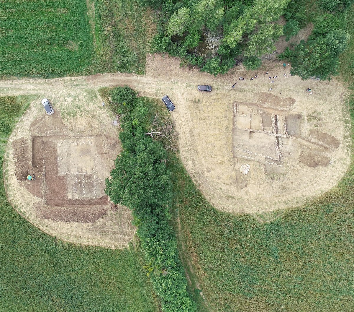 Archeo - Attualità del passato tweet media