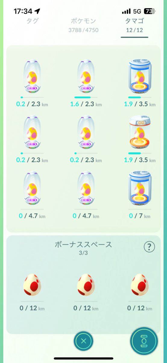 卵つめてからもうカヌたそ出ないの気づいた