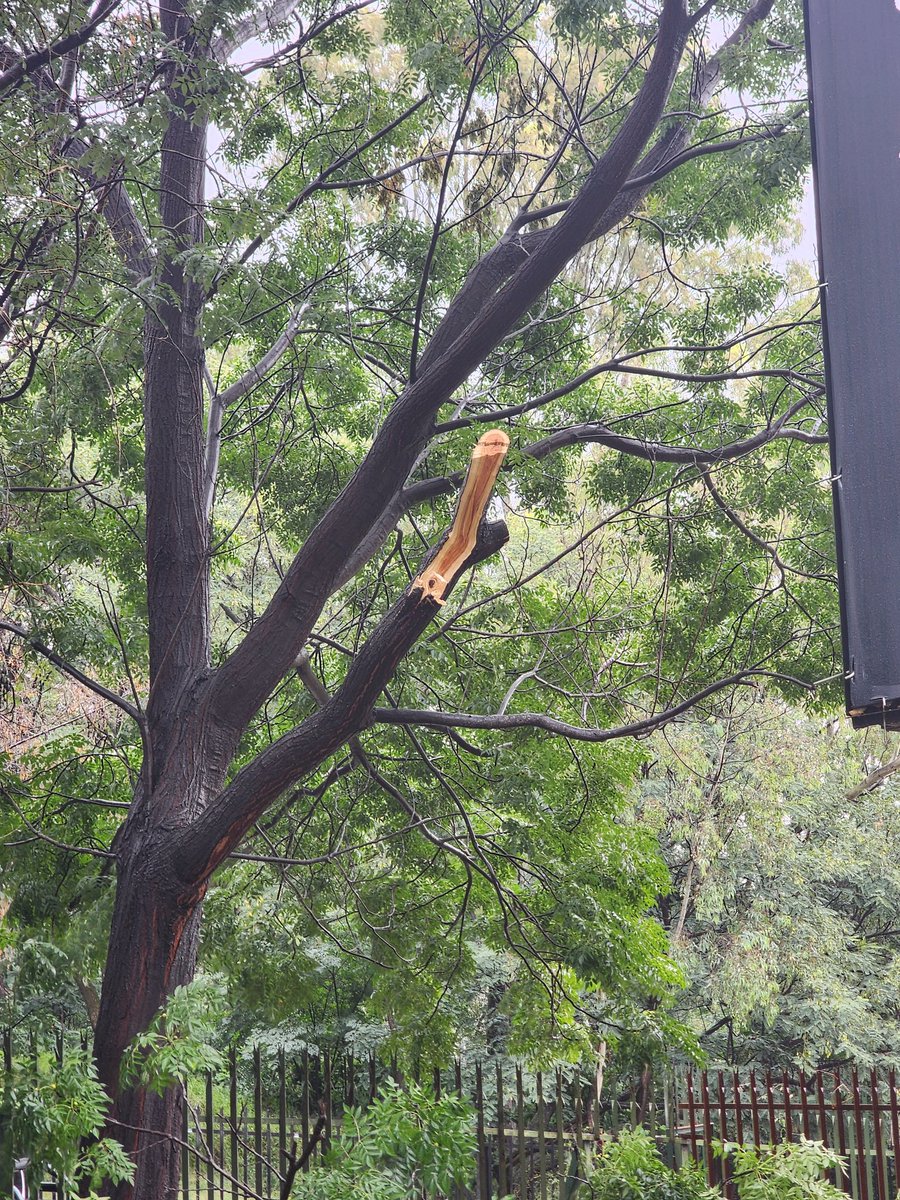 TreeWorks 0118848088 tweet media