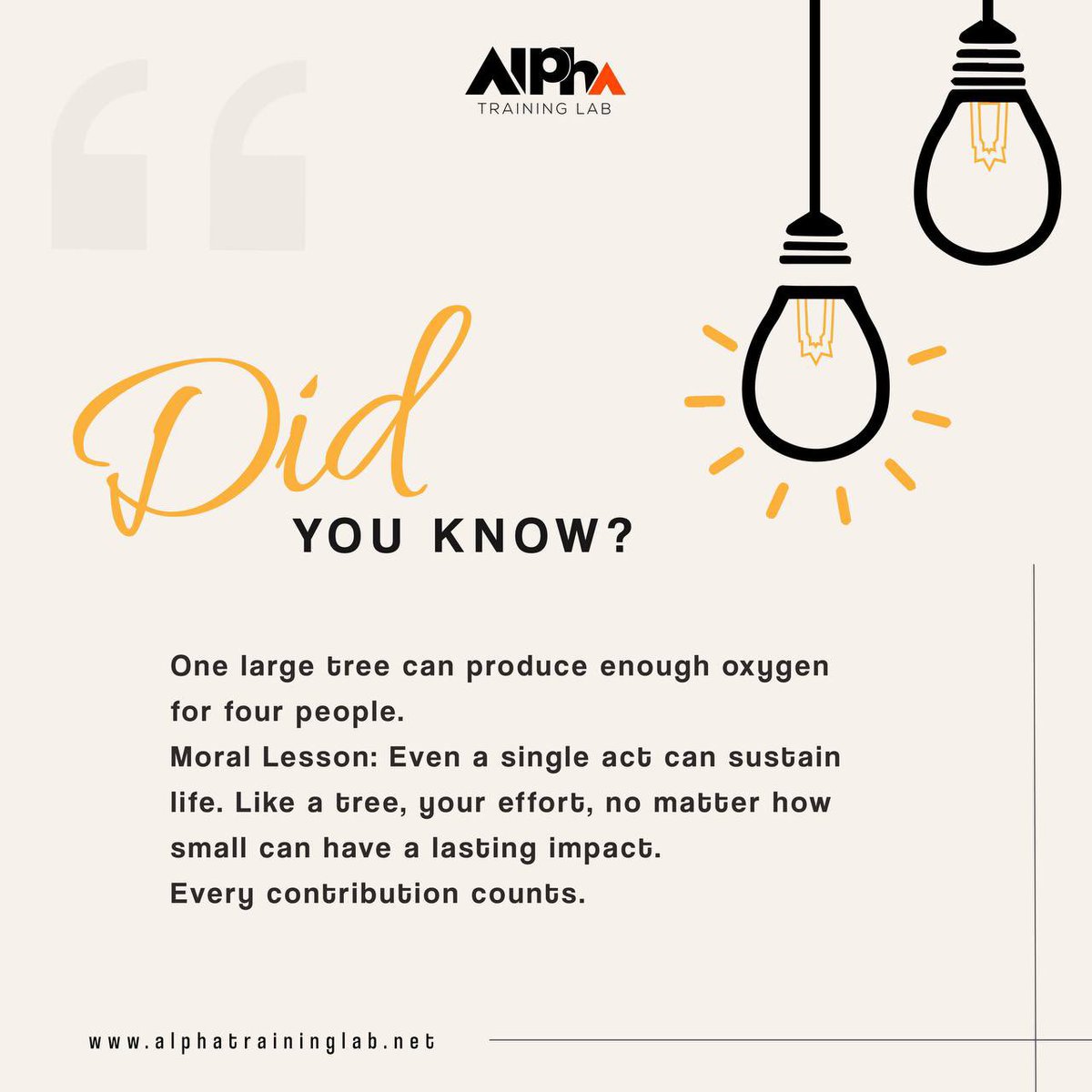 AlphaTrainingL's tweet image. Did you know 💡?
#FinFactWednesday
#AlphaTrainingLab