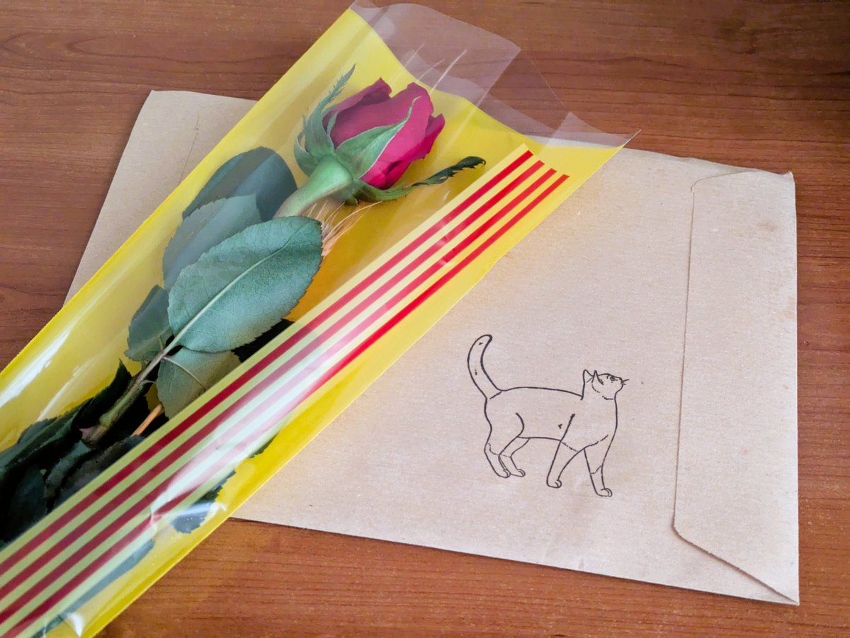 Adrià MA tweet media