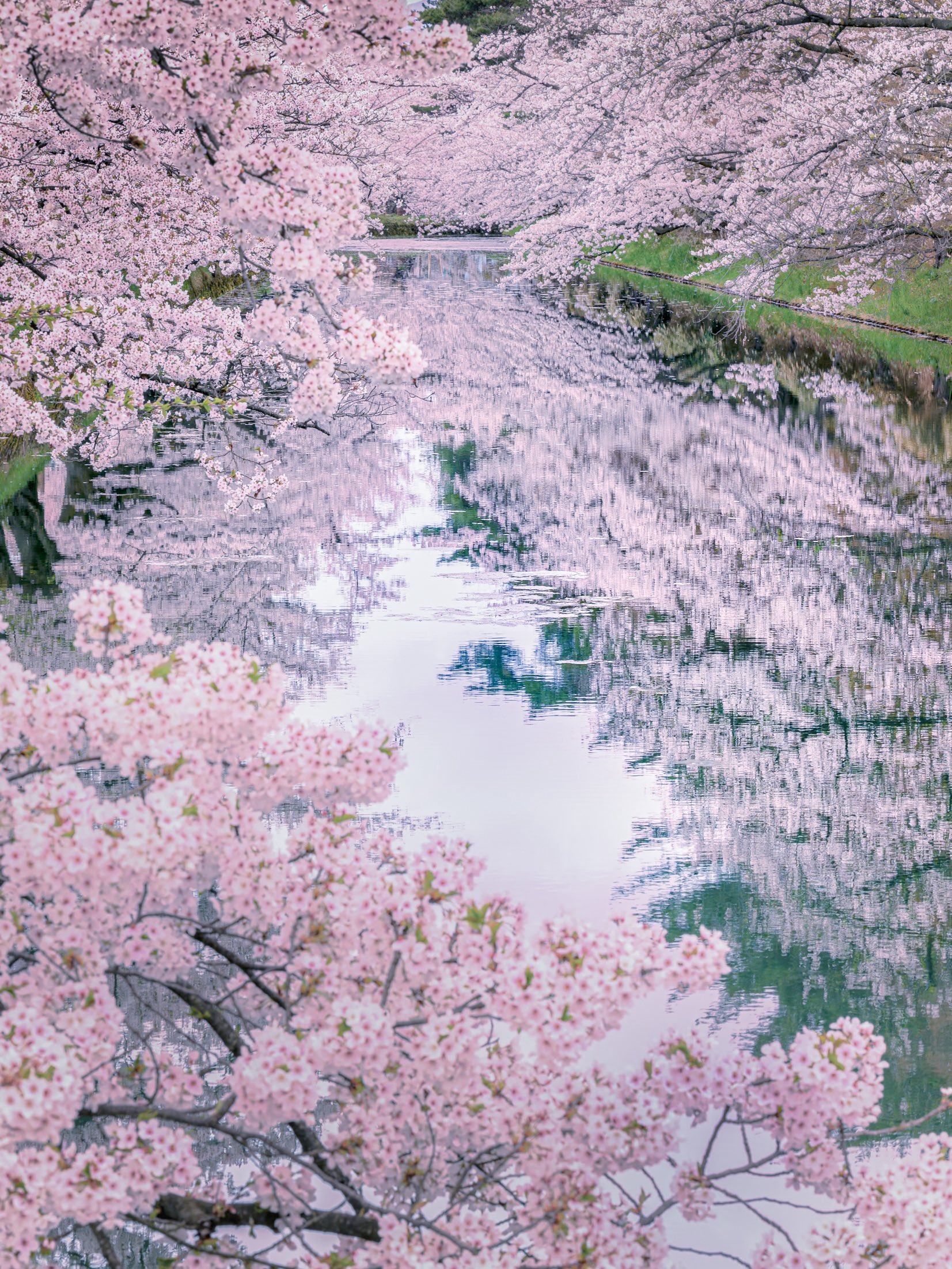 𝑇𝑎𝑘𝑢 (@taku_photo47) / X