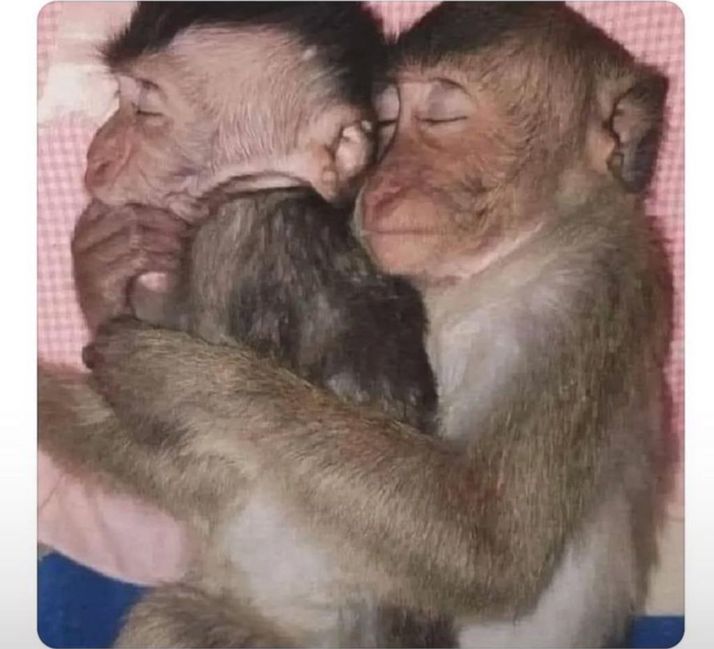 fstdaughter's tweet image. Gm Gm To Everyone. The weather is indeed for two.