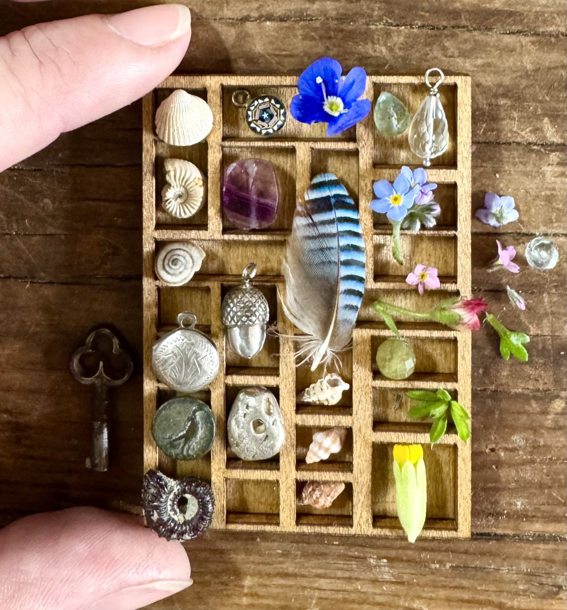 Emma Mitchell 💙 tweet media