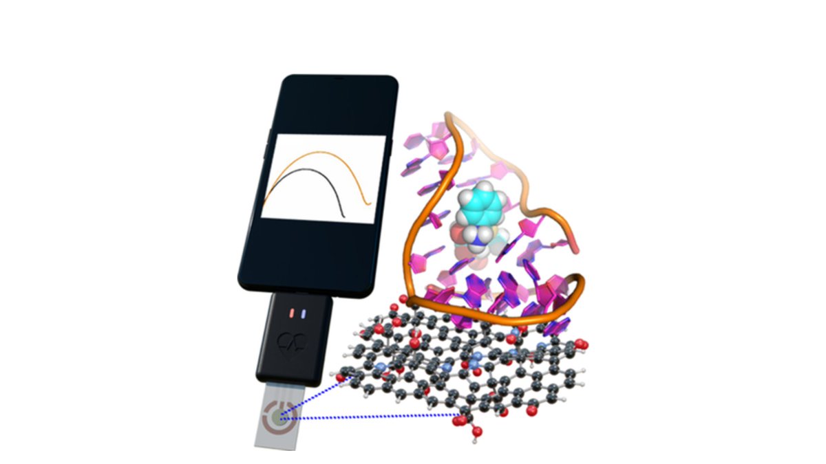 🔬 Innovation in Biosensor Technology: A new paper from #SUSNANO partners University of Tirana, ICN2, and Palacký University Olomouc. 🧬
Congrats to the authors for advancing the future of biosensor tech! 🎉
📖 Full article: susnano.eu/post/susnano-p…
#Graphene #Biosensors #NanoTech