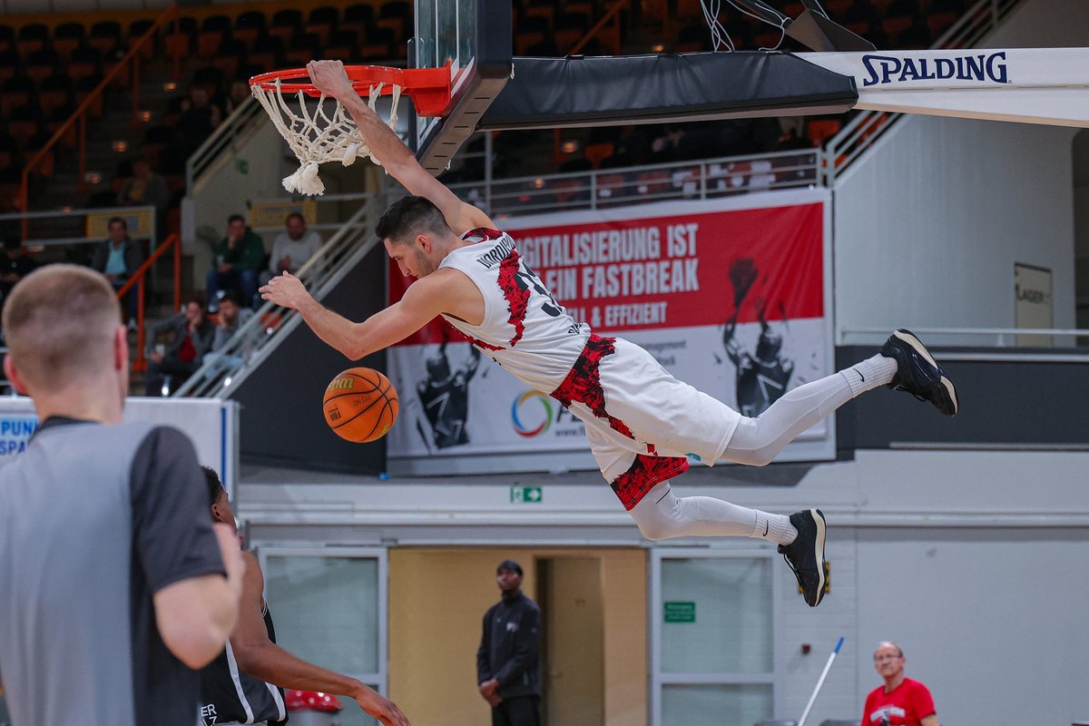 BAYER GIANTS Leverkusen tweet media