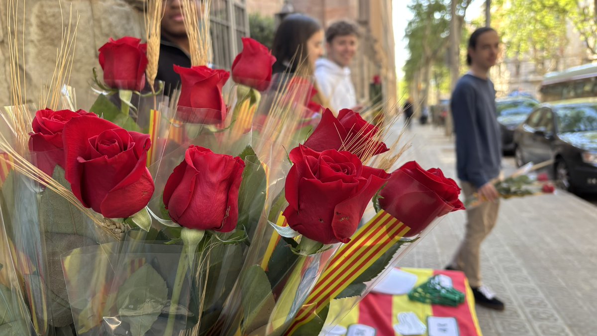 🌹📚 Bona diada de Sant Jordi!

🥰 Aquest any, amb més llibres que mai gràcies a les recomanacions literàries del personal de la universitat. No t'ho perdis: ja.cat/zjc7p