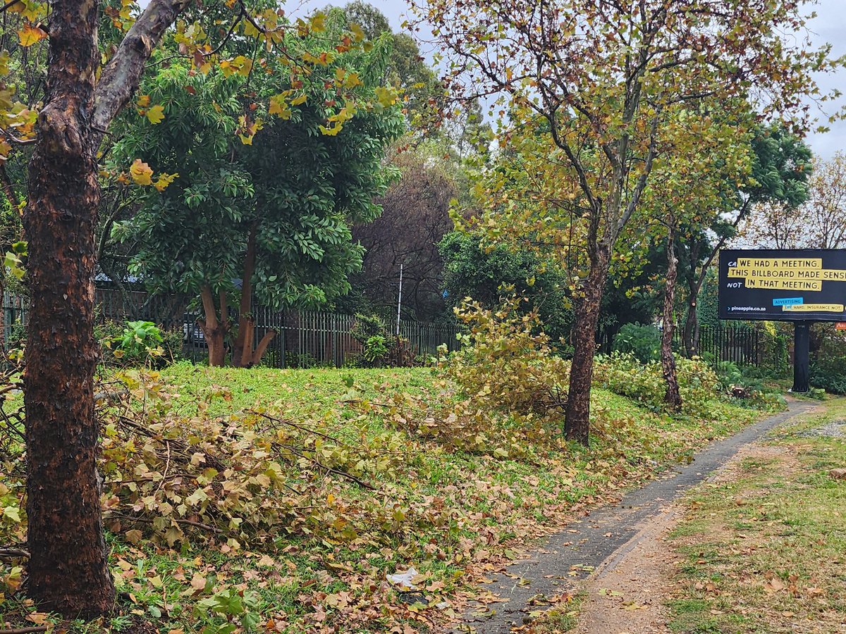 TreeWorks 0118848088 tweet media