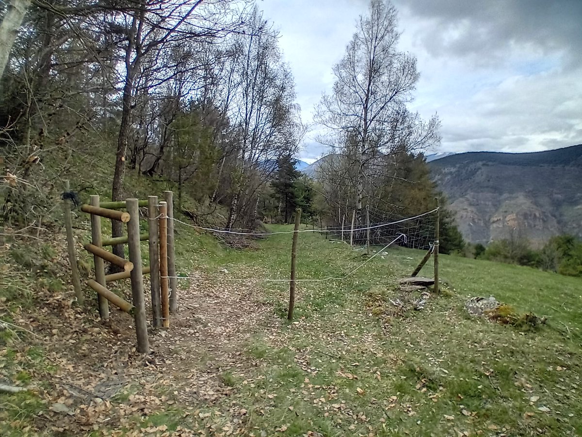 Al #PNAltPirineu fem compatibles el senderisme 🥾 i la ramaderia extensiva 🐂 amb passos ramaders 🚧 que permeten gaudir dels camins amb respecte 🌿. Ja és operatiu el de Montesclado-Mallolís, part de la <a href="/laribalera/">La Ribalera</a>! 🏃‍♀️
#SenderismeIRamaderia #RespectePelTerritori