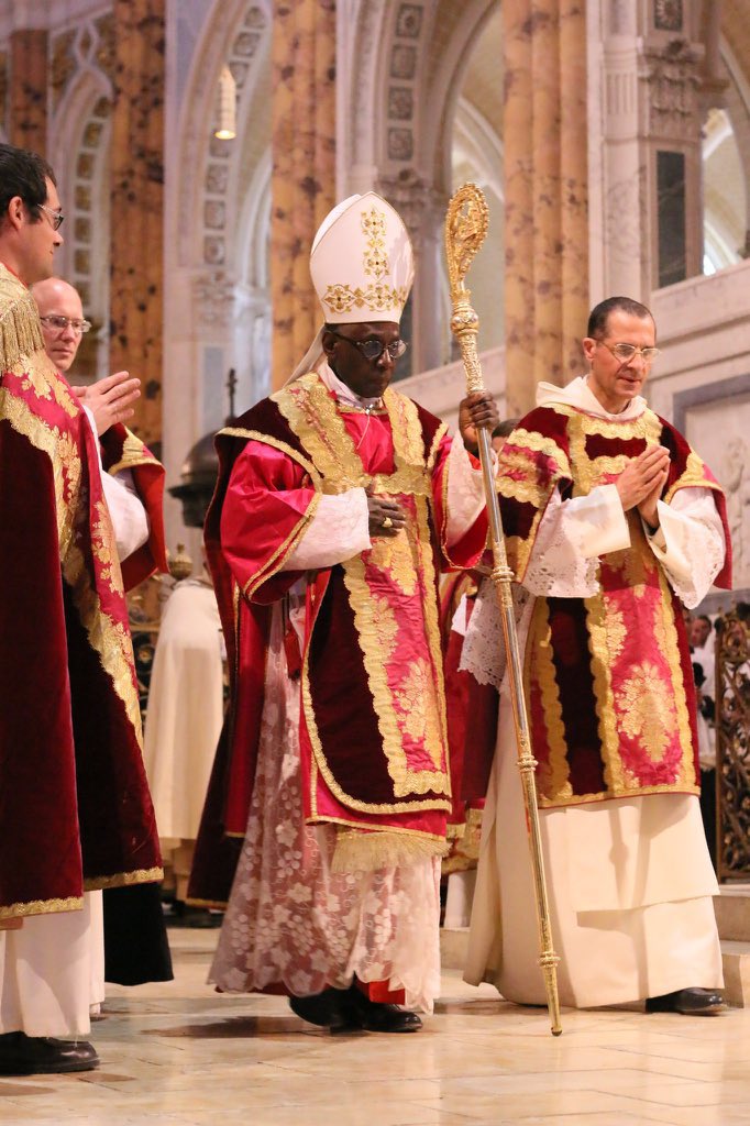 « Nous devons revenir à l'essentiel : à Dieu, à la prière, à l'Eucharistie, à la confession, à la vérité de l'Évangile. L'Église n'est pas une organisation humanitaire. Elle est la porte de la vie éternelle. »
— Cardinal Robert Sarah

« L'Église n'est pas faite pour plaire au