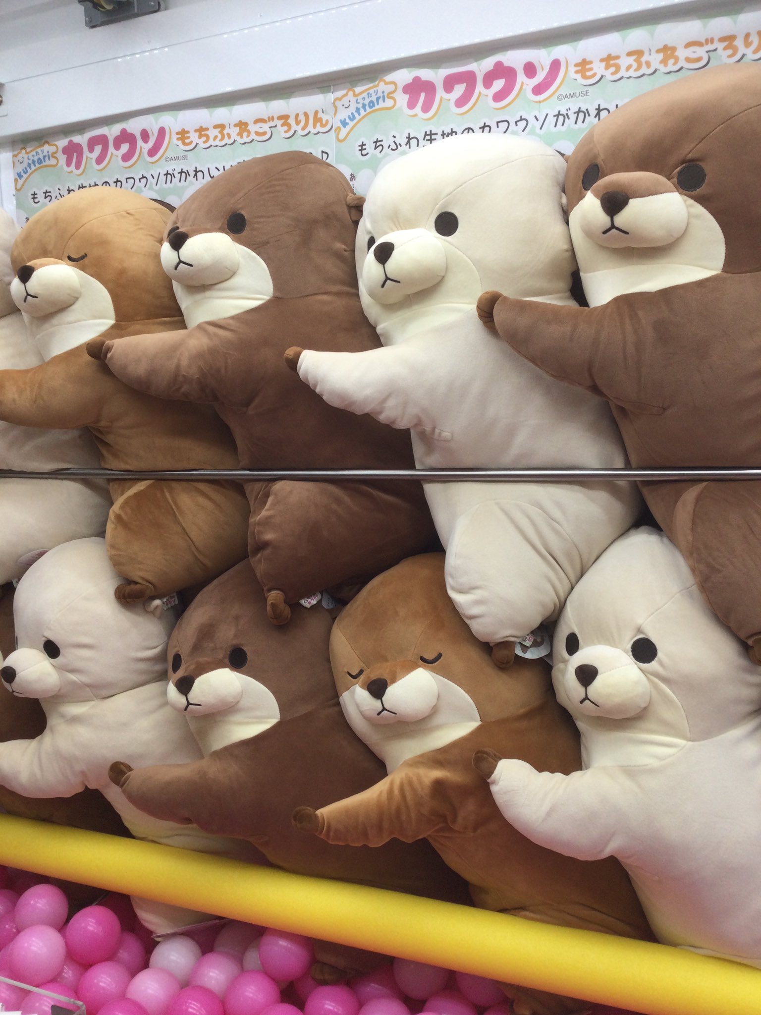タイトーFステーション 野市店 on X: 