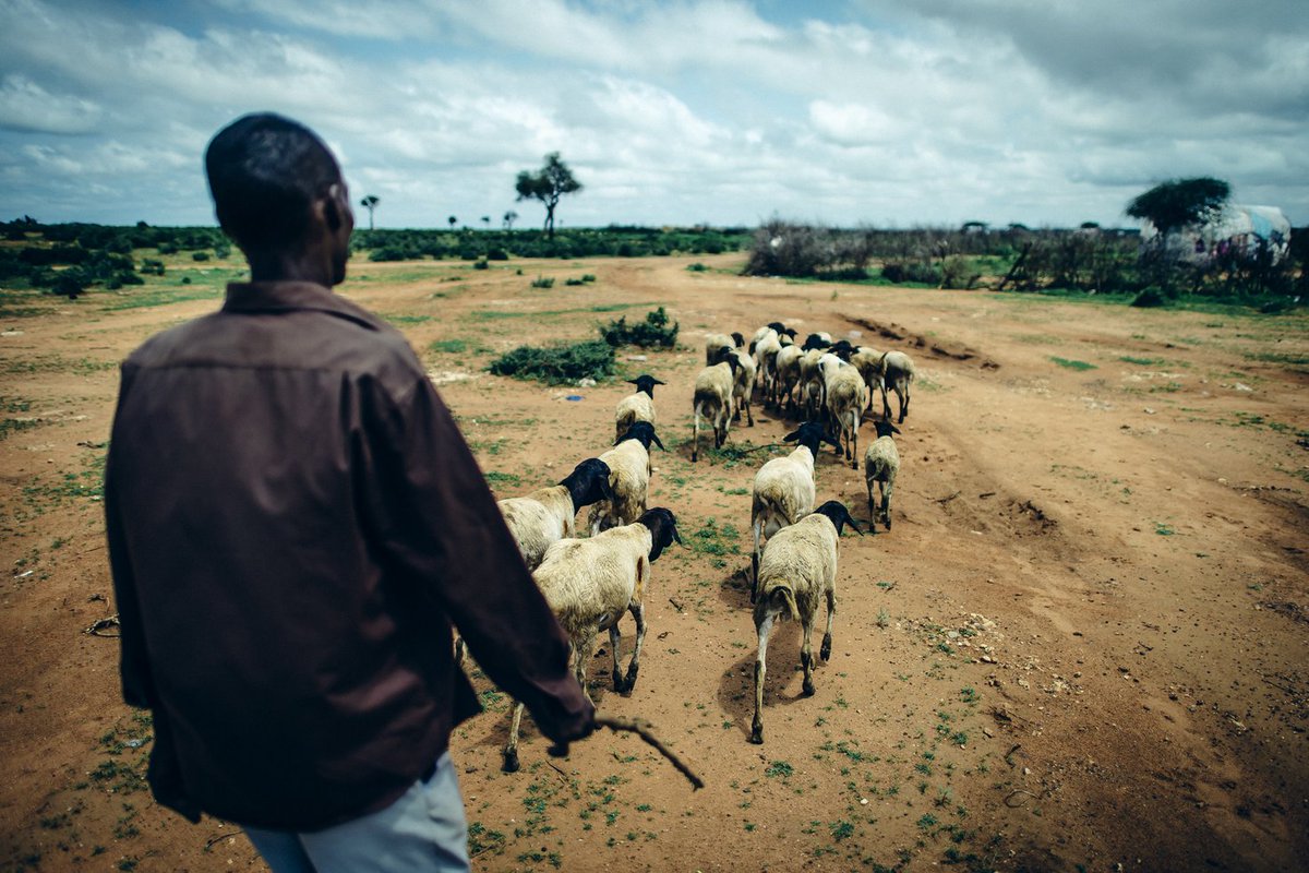 Neil Sorensen (@neilsorensen) on Twitter photo Webinar: Pastoralism in the Sahel Today – Honouring Jeremy Swift
🗓️ 24 April 2025 | 🕔 17:00–18:30 (GMT+1)
Join @camillatoulmin, <a href="/SaraPantuliano/">Sara Pantuliano - @sara-pantuliano.bsky.social</a>, author Alex de Waal, <a href="/IanScoones/">Ian Scoones</a> & others for a great webinar!
🔗 landportal.org/event/2025/04/…
#Sahel #Pastoralism Webinar: Pastoralism in the Sahel Today – Honouring Jeremy Swift
🗓️ 24 April 2025 | 🕔 17:00–18:30 (GMT+1)
Join @camillatoulmin, <a href="/SaraPantuliano/">Sara Pantuliano - @sara-pantuliano.bsky.social</a>, author Alex de Waal, <a href="/IanScoones/">Ian Scoones</a> & others for a great webinar!
🔗 landportal.org/event/2025/04/…
#Sahel #Pastoralism