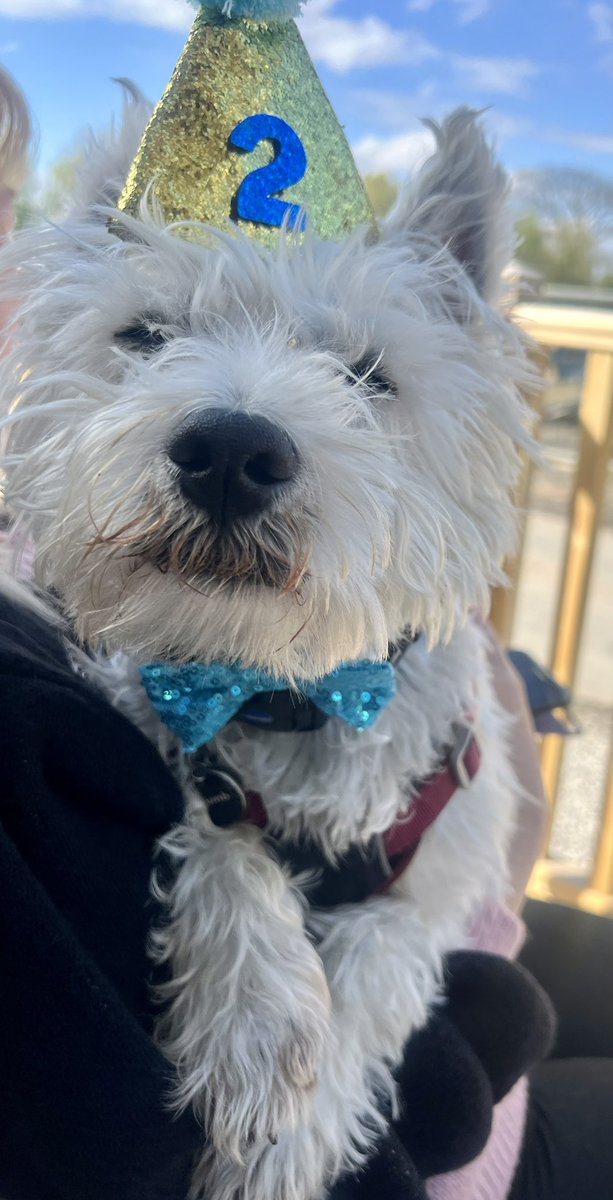 Happy Birthday to meeee! Dillon - 2 years old today!!