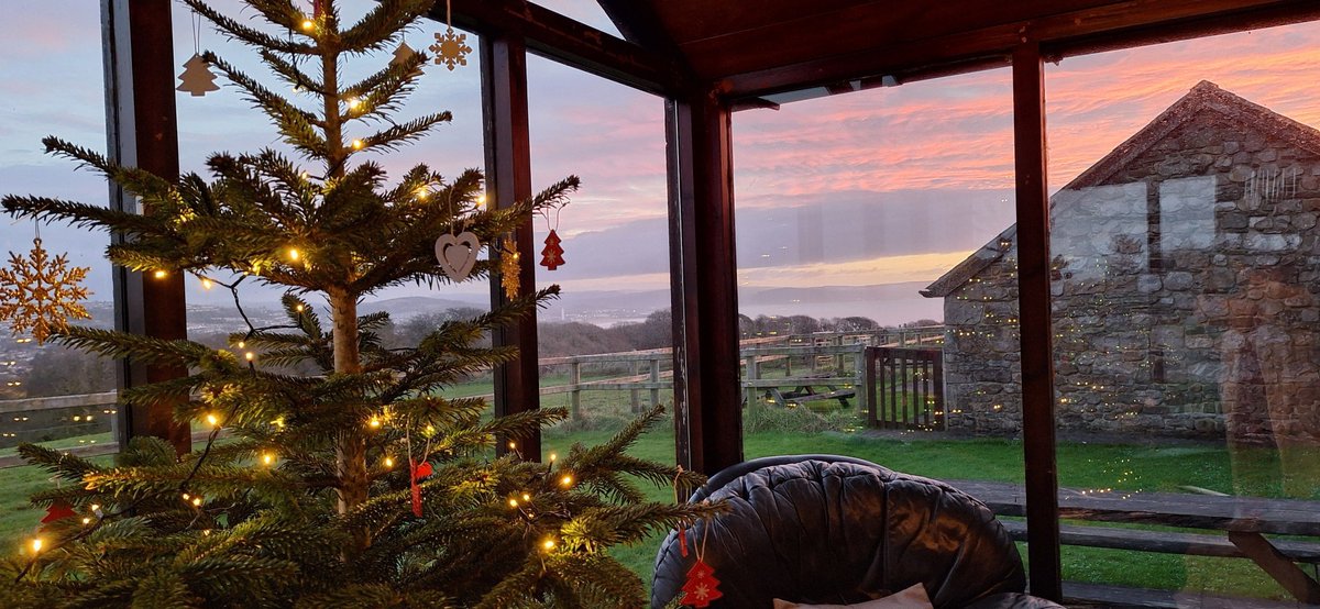 I know it's a bit early to mention the C word, but bookings and enquiries have been coming in for December's festivities! Book soon to avoid disappointment! 📸 Thanks to Ann for the lovely photo of the tree and view from The Old Schoolroom

#FestiveFarm #ChristmasStays