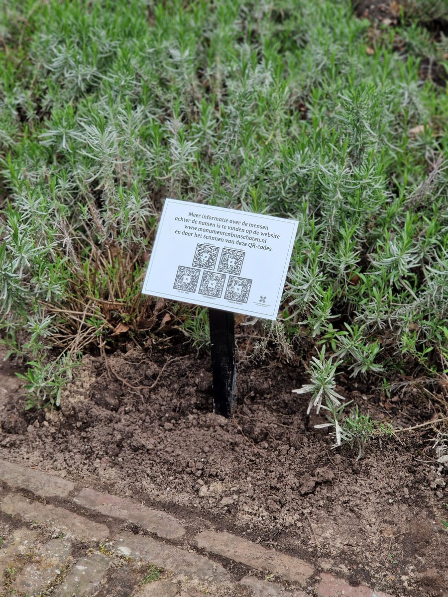 Dinsdag 22 april kreeg waarnemend burgemeester <a href="/bortkoelewijn/">Bort Koelewijn</a> het boek uitgereikt dat is uitgebracht ter gelegenheid van #80jaarvrijheid. Ook werd een van de bordjes onthuld op Memento Mori met QR-codes die je kunt scannen voor meer informatie over de oorlogsslachtoffers.