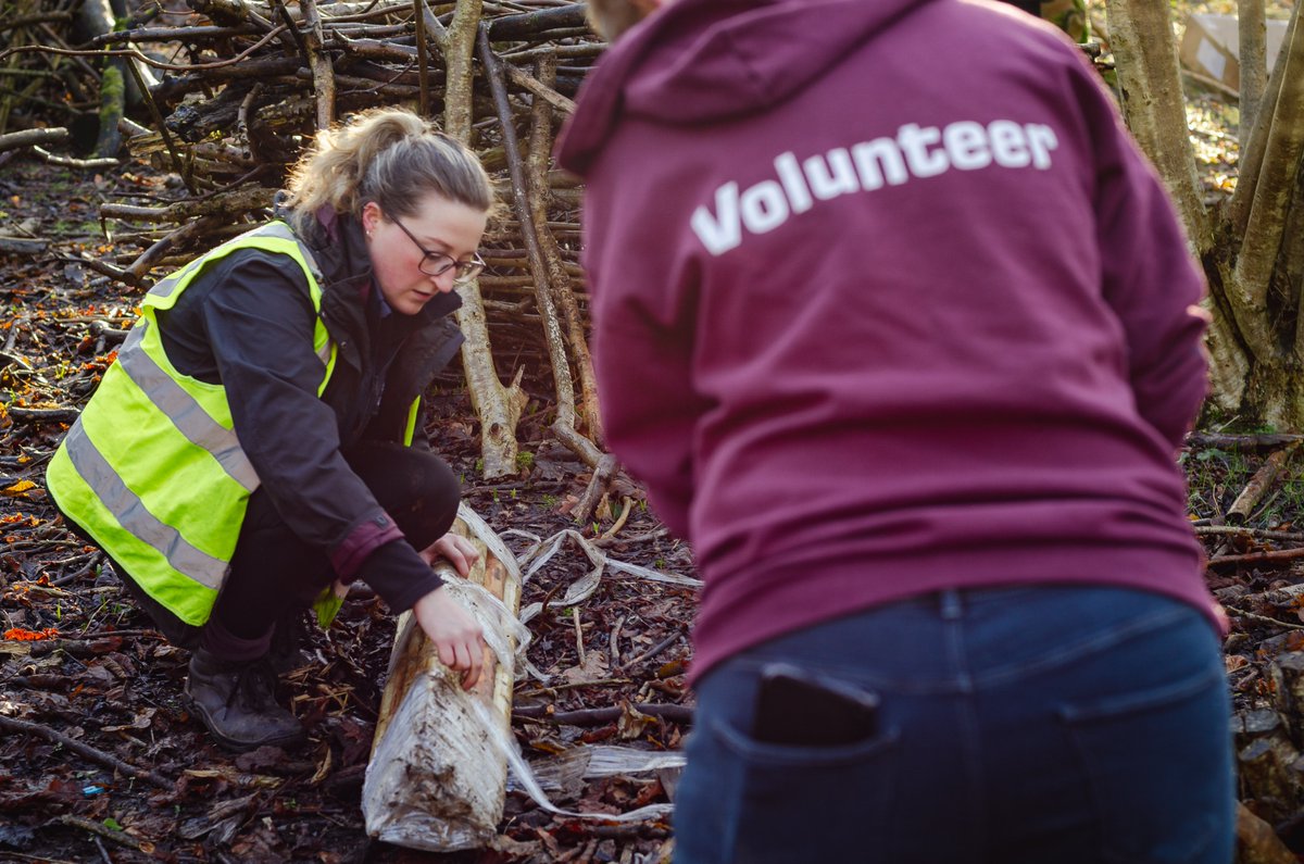 Amazing job alert!📢

We are recruiting a part-time fixed term Community Woodland Assistant to enable the delivery of our award winning Castlemilk Park Project!🌳

cassiltoun.org.uk/vacancies/