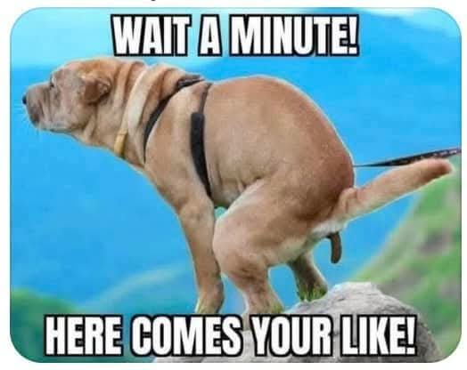 RODS RACING (@rodsracing1) on Twitter photo 