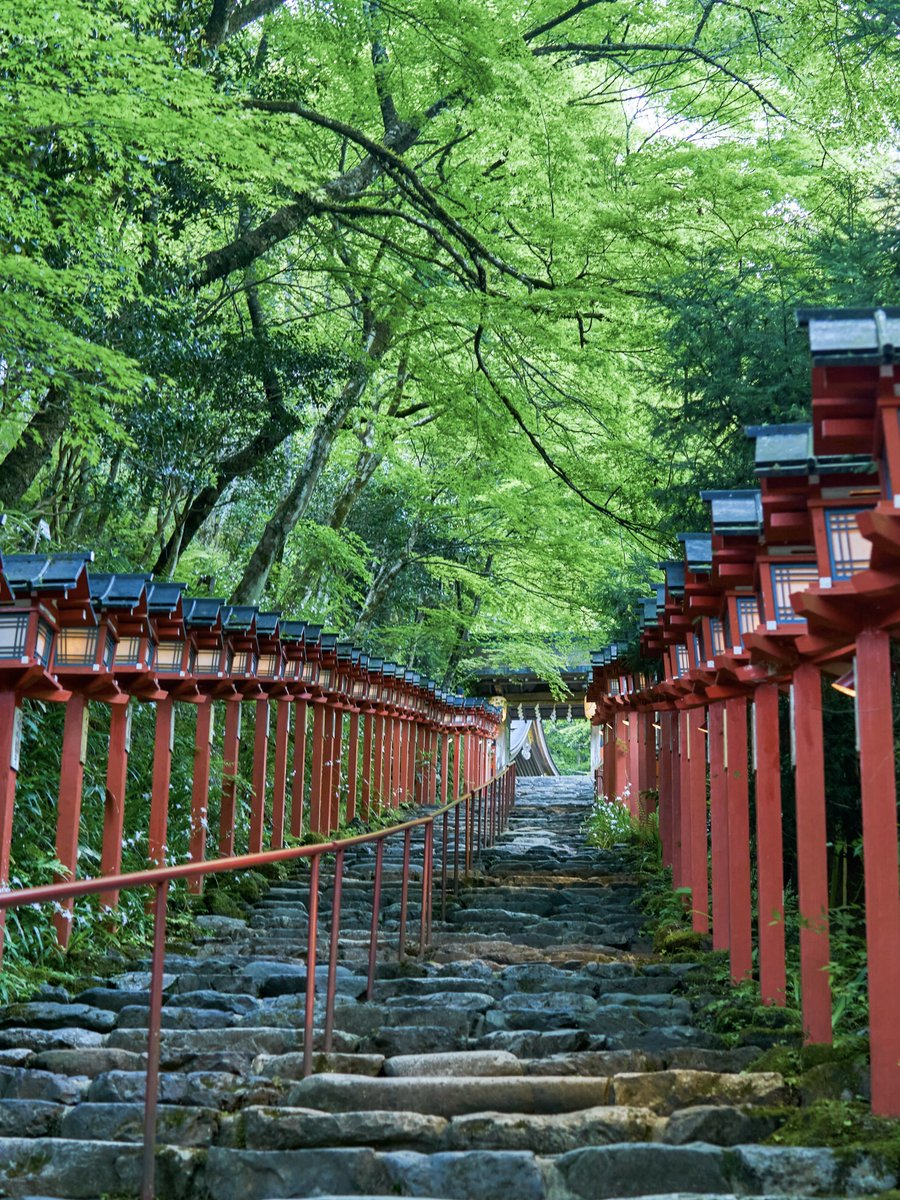 新緑の貴船神社が美しい