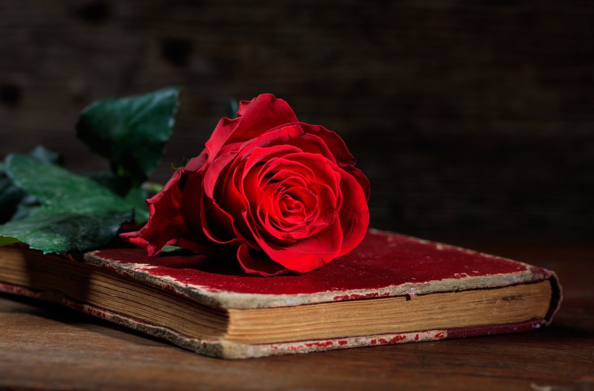 Avui celebrem les bones històries, les que neixen entre pàgines o darrere d’una mirada.
Una rosa, un llibre… i mil maneres de comunicar.
🌹
#SantJordi #DiaDelLlibre
