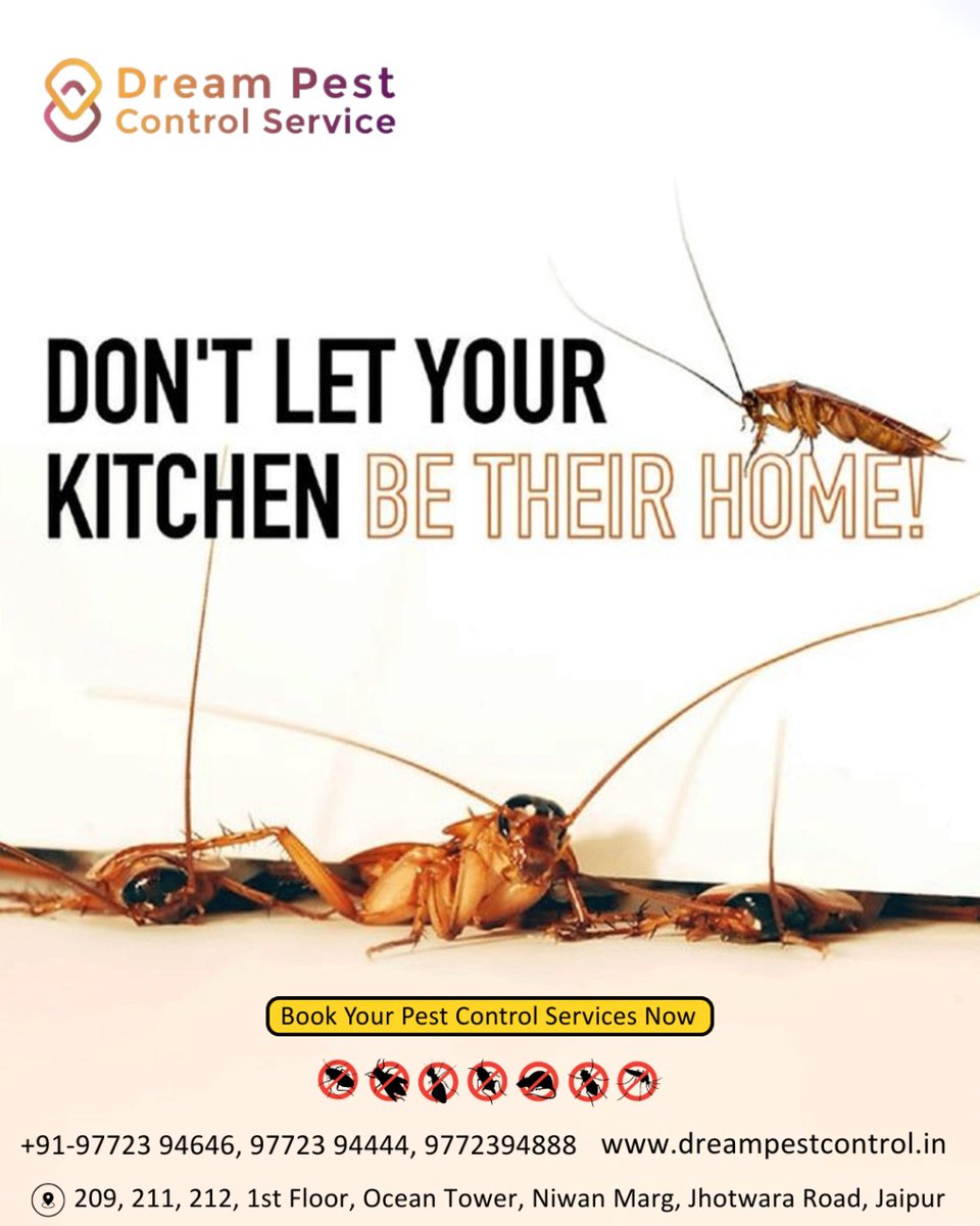 DreamPest's tweet image. 🚫 Don’t let cockroaches claim your kitchen!

Say goodbye to unwanted guests with Dream Pest Control Service – your trusted solution for a clean, safe, and pest-free home.

dreampestcontrol.in

#DreamPestControl #CockroachFreeHome #PestControlJaipur #KitchenCleanliness