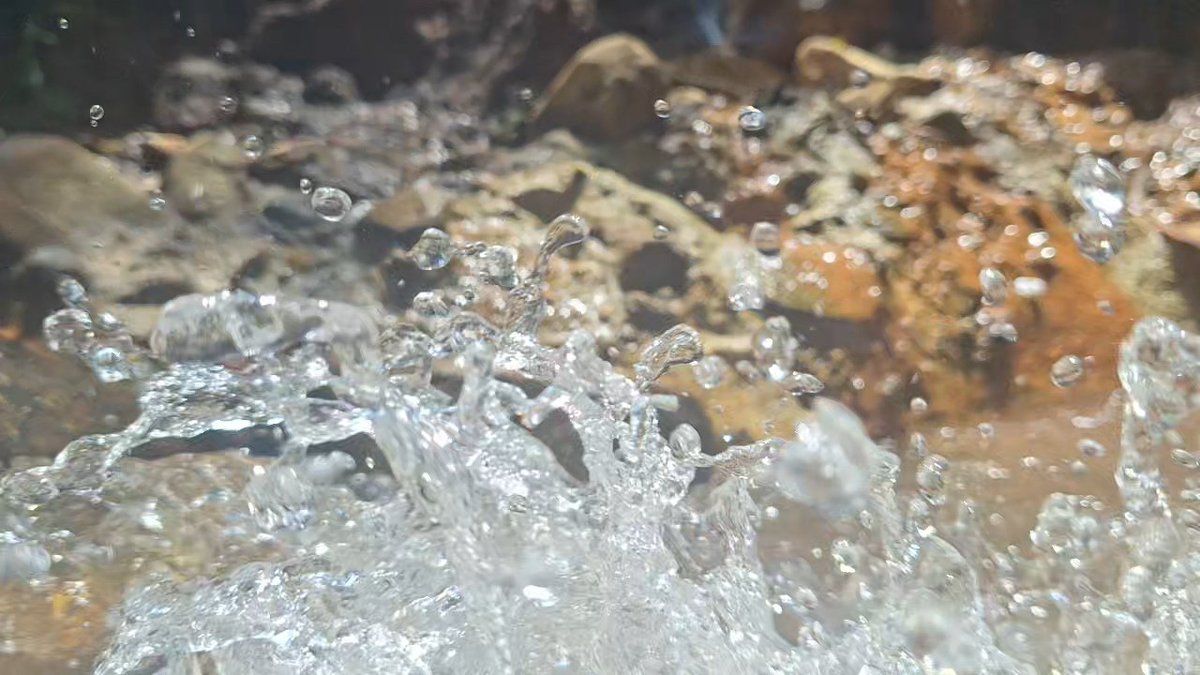 zoomintonature's tweet photo. Random not!
#ZoomIntoNature
https://t.co/aAlXyboaZy https://t.co/cyBqdDheQz