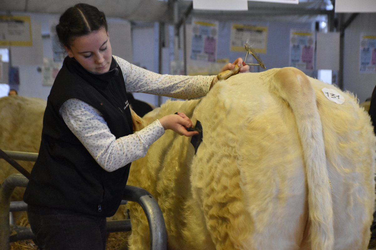 👨‍🌾 Fête du Travail
Aujourd’hui, on célèbre celles et ceux qui nourrissent la France 🌾
Pas de jours fériés à la ferme : les éleveurs sont au travail, chaque jour, avec passion.
🙏 Merci à eux !
#FêteDuTravail #Agriculteurs #TechElevage