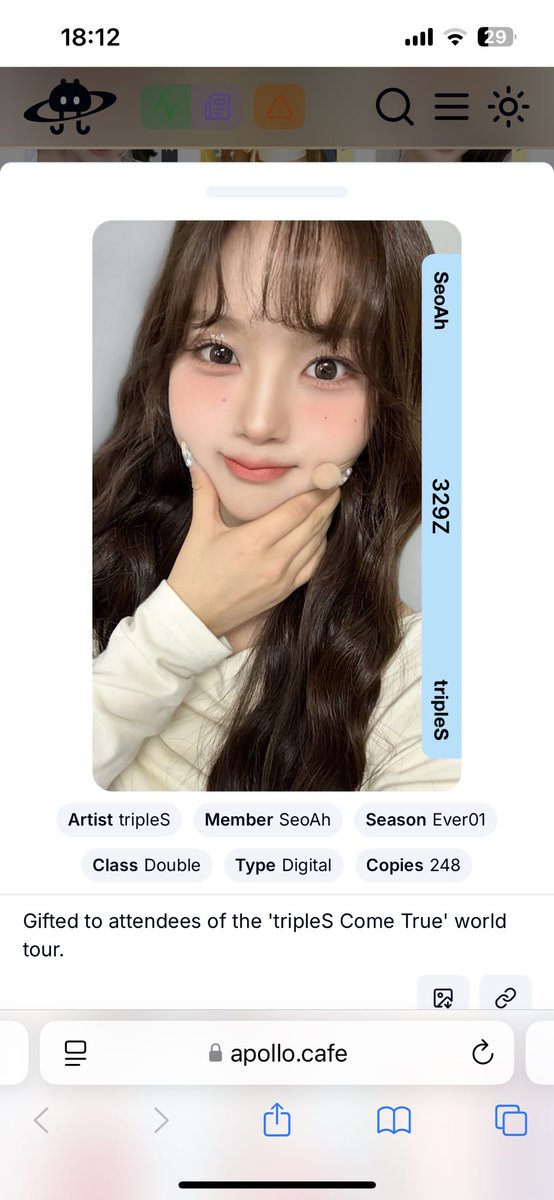 これなんですか