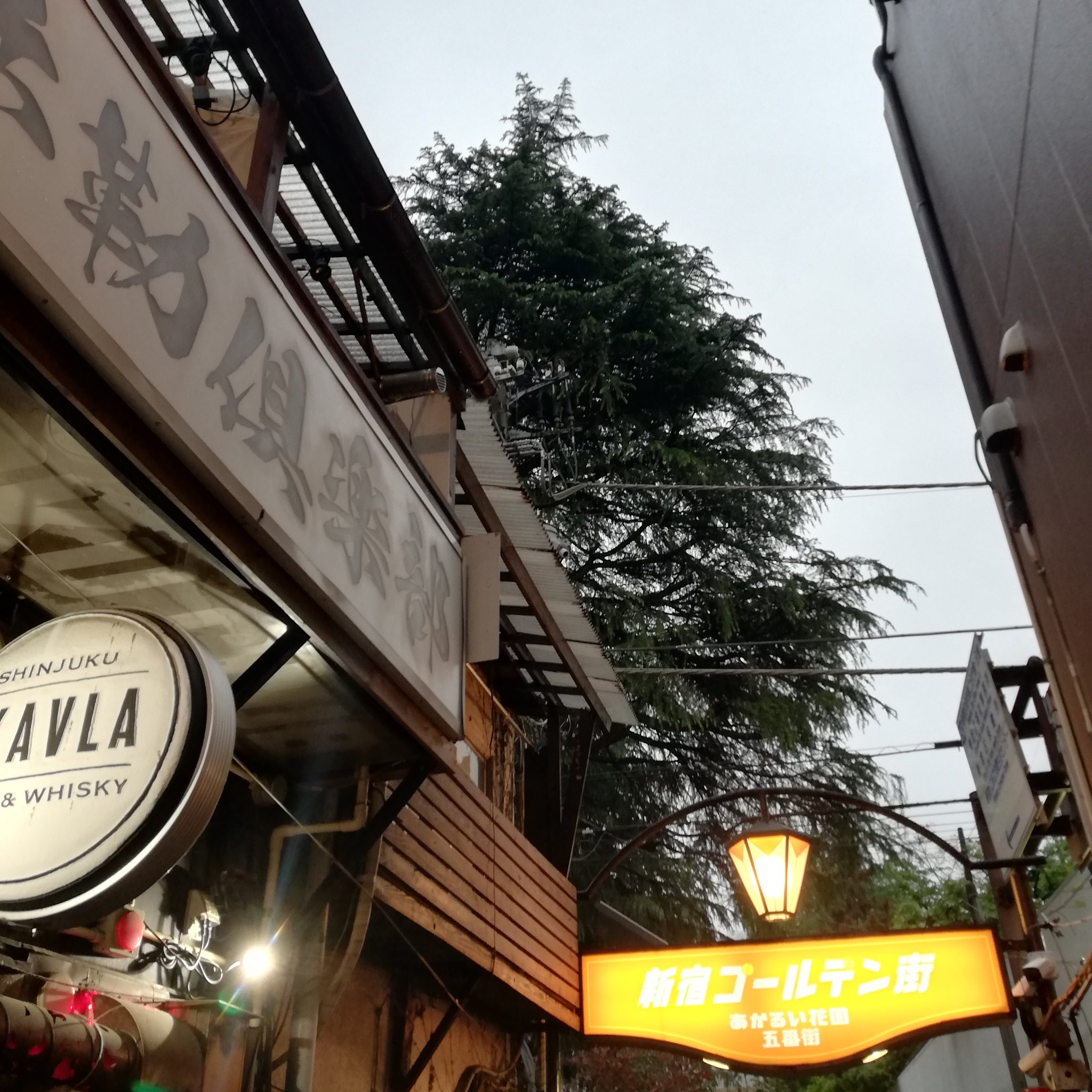 新宿ゴールデン街HIP (@GOLDENguyHIP) / X