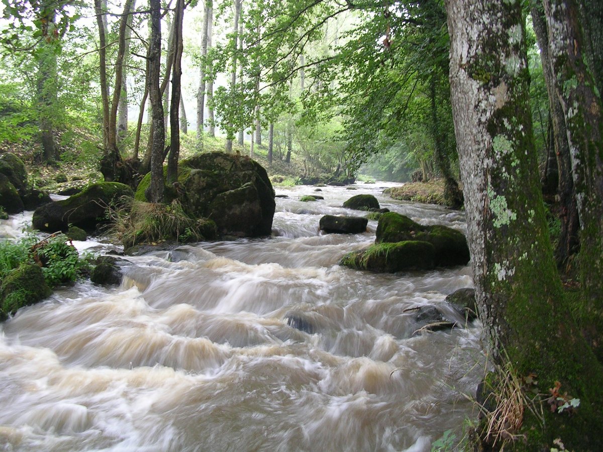 Image de Préfète de la Mayenne