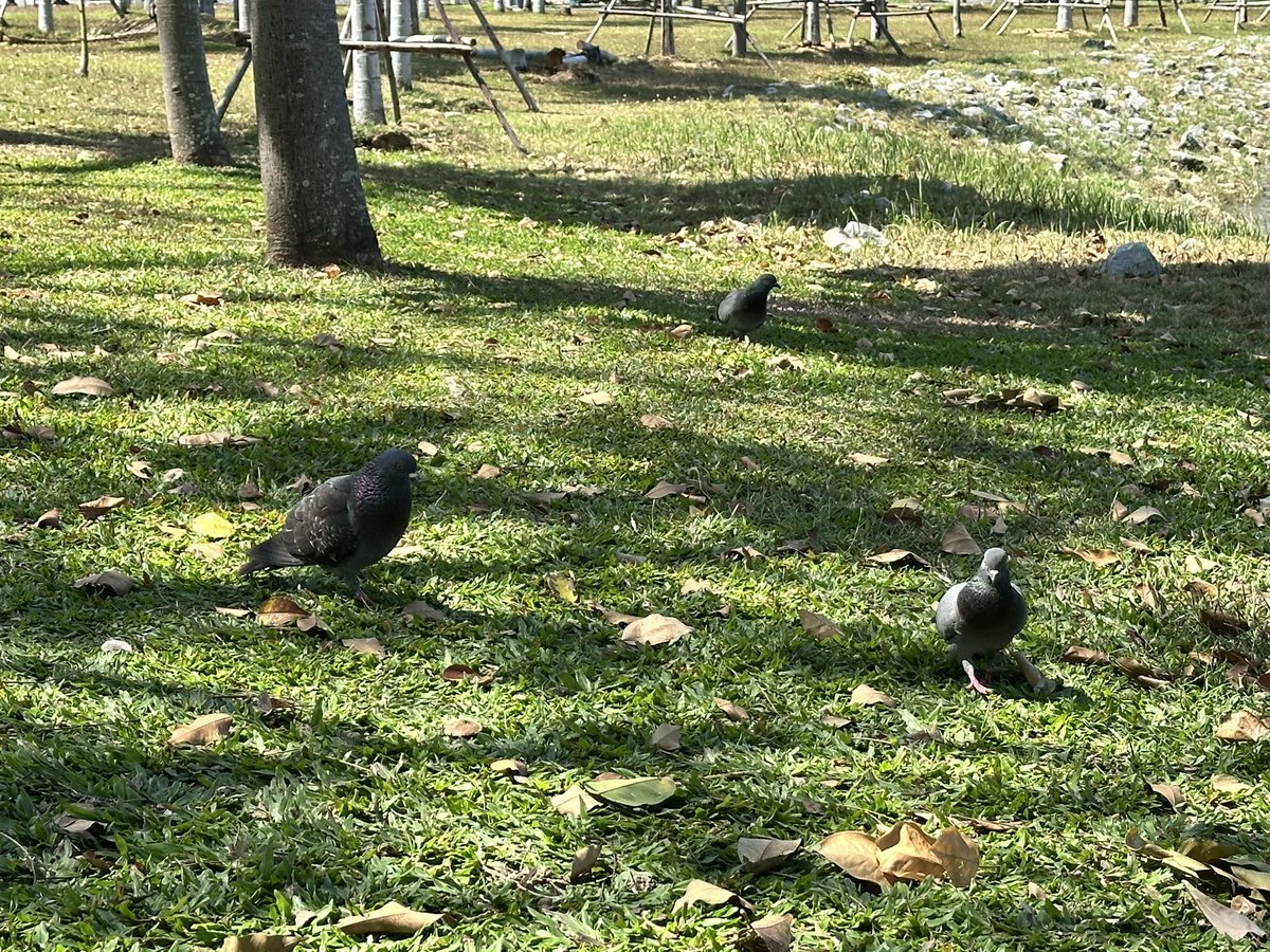 " ถ้ามัวแต่ถนอมใจคนอื่น สุดท้ายมันจะกลายเป็นตัวเราเองนะที่แตกสลาย "