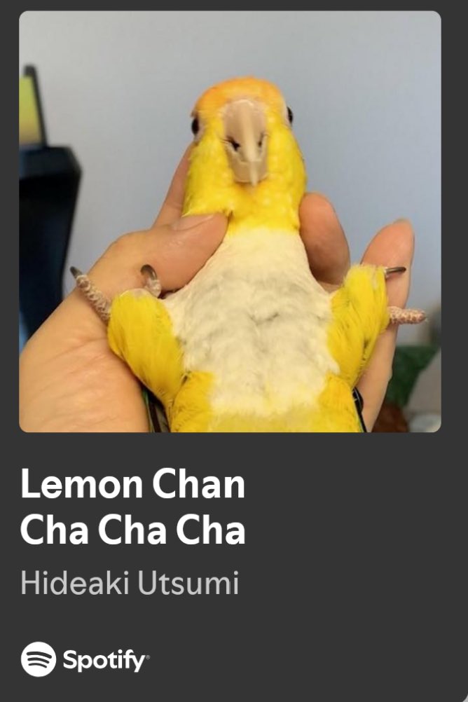 Hideaki Utsumi tweet media