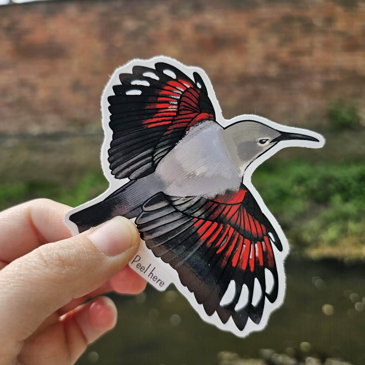 Added some new items in the store!