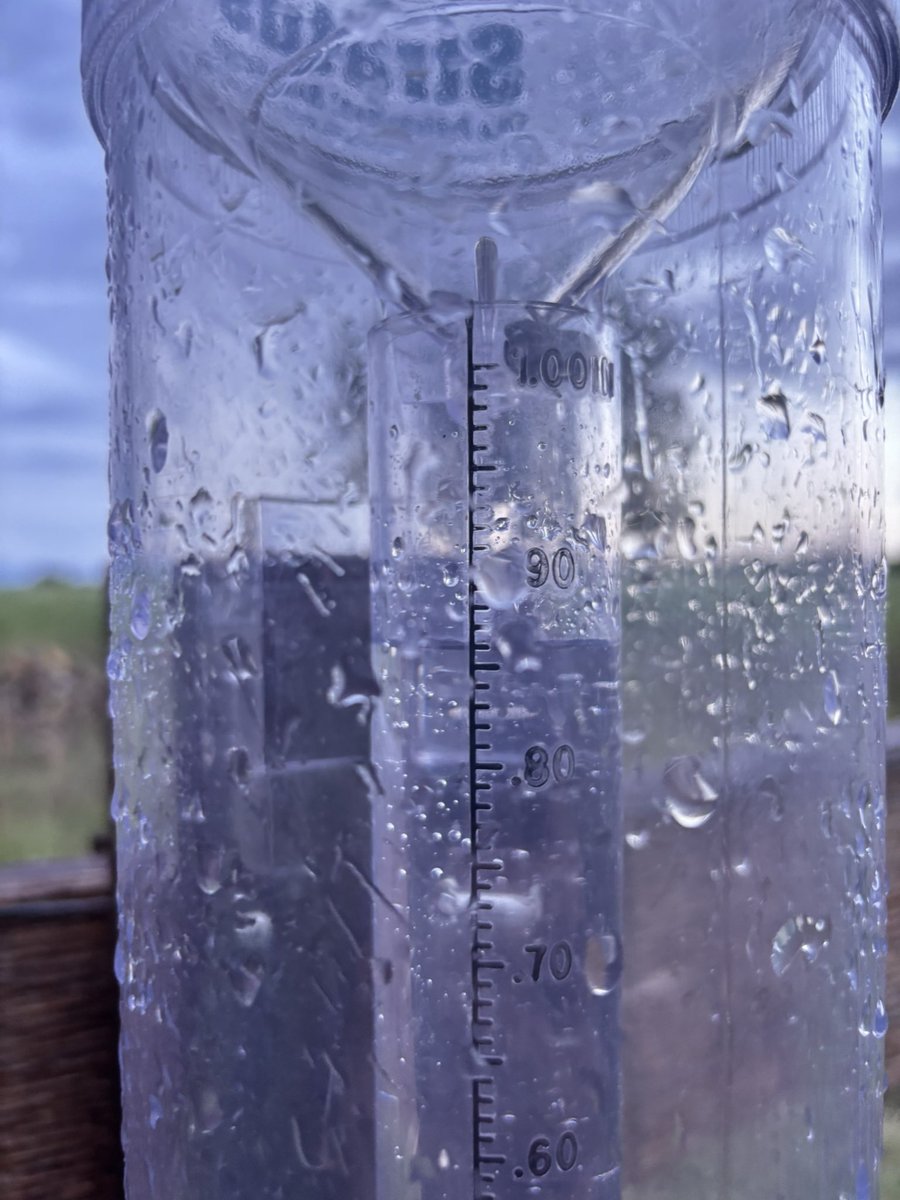 Tom Bradshaw tweet media