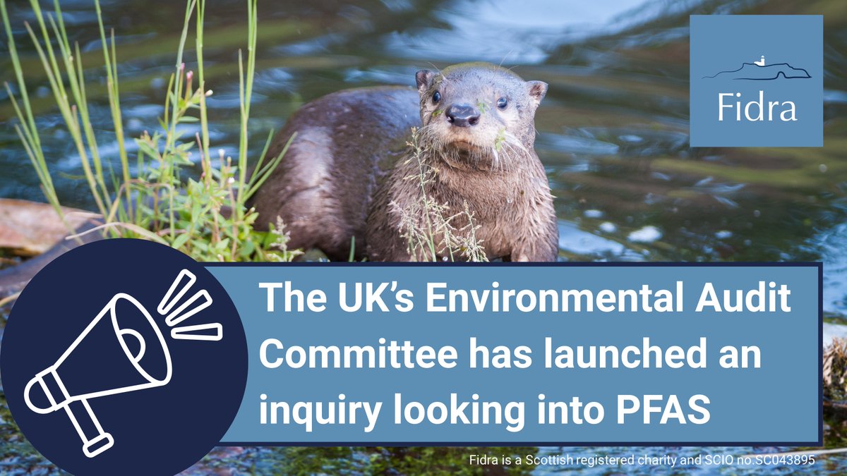 FidraTweets's tweet photo. 📣The UK's Environmental Audit Committee is taking action on #PFAS   

The new inquiry will be investigating the risks they pose and how well the UK is handling them. 

 Read our latest blog to find out more! ⬇️
https://t.co/fFb6RuIkHl https://t.co/CcobLko4qC