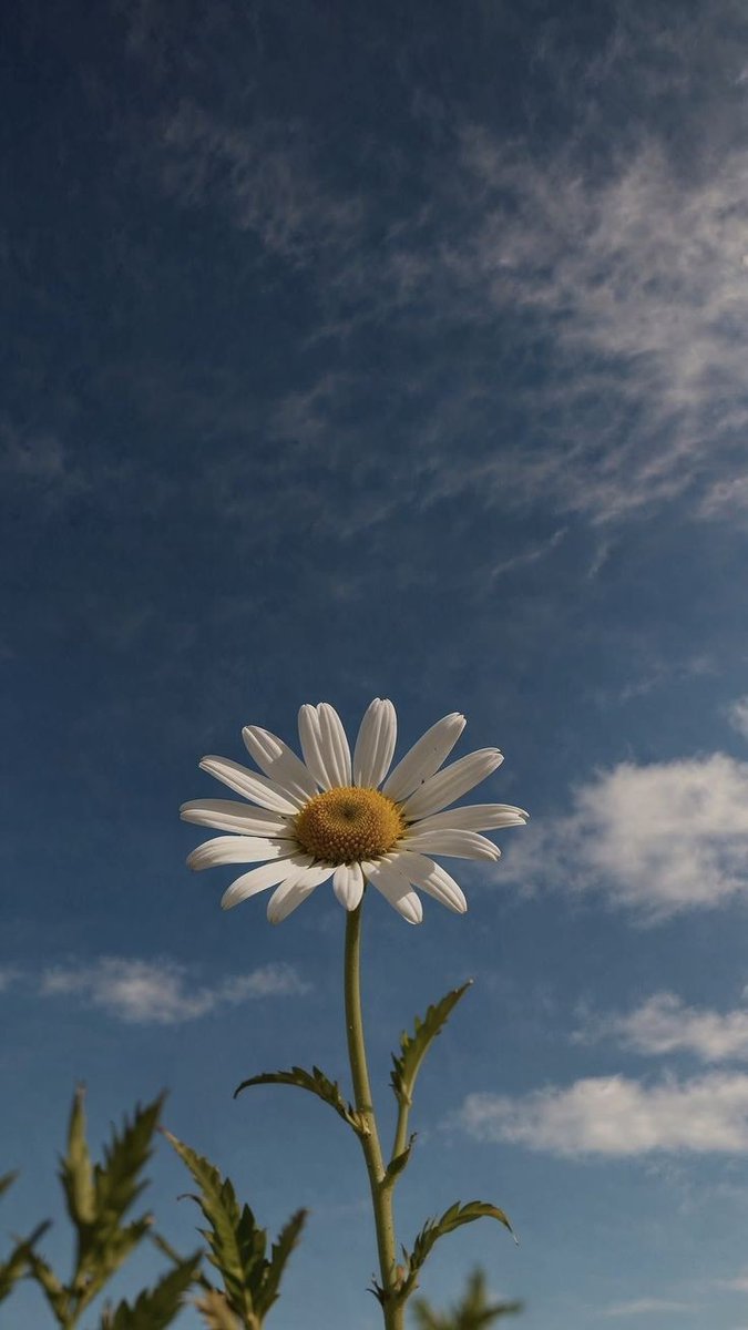 If you're presenting yourself with confidence, you can pull off pretty much anything.