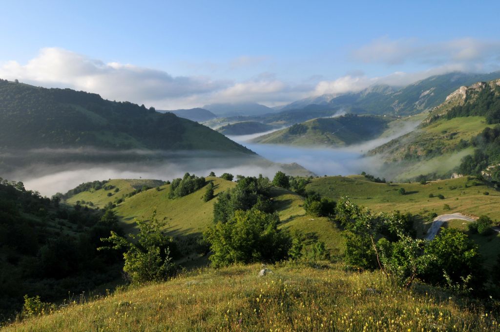 IUCN Eastern Europe and Central Asia tweet media