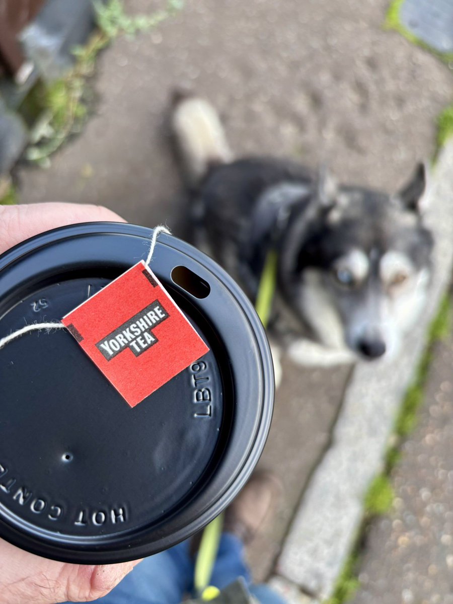 YorkshireTea's tweet image. No, this is my tea! You can't have it.
📷 @bc_richfield