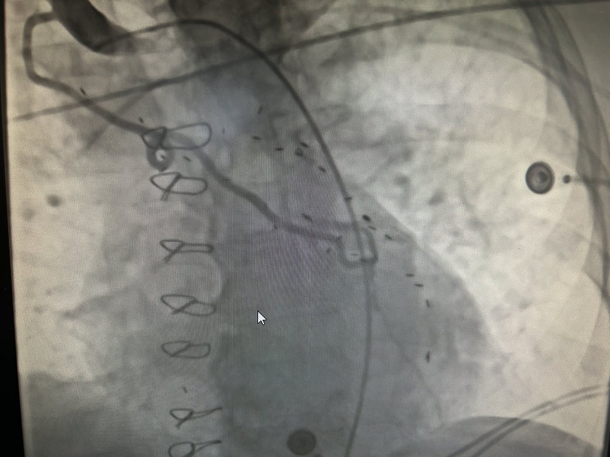 Jose Albors Martin tweet media