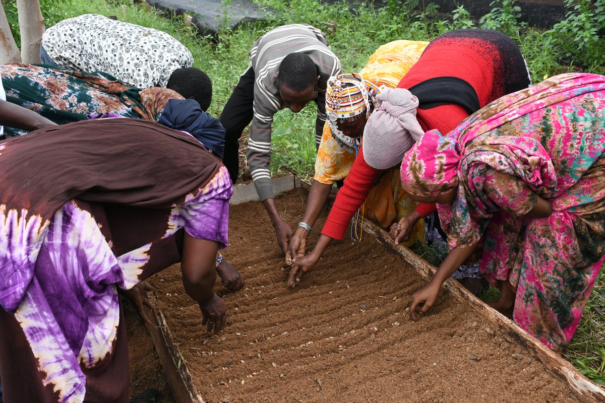 KEFRIHQ's tweet photo. At the Annual Conservation build up in Loglogo, NAPO and KEFRI’s Dr. Robert Nyambati trained the community on nursery establishment, promoting youth-driven environmental stewardship and restoration of Mt. Marsabit forest in Marsabit County. https://t.co/gmuy3IBpGJ