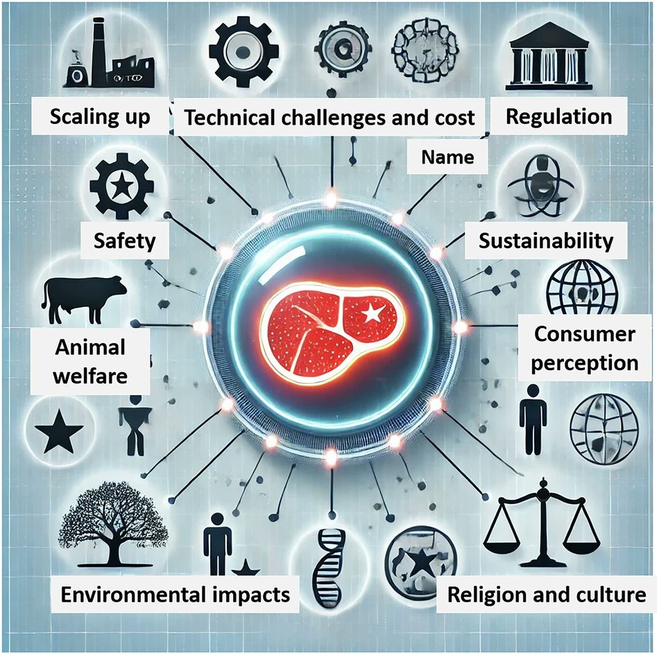 Sghaier CHRIKI (@chrksg) on Twitter photo Article in Nature: Food culture and cell-culture | Food safety and quality | Food and Agriculture Organization of the United Nations shar.es/aglDuc via <a href="/FAO/">Food and Agriculture Organization</a> Article in Nature: Food culture and cell-culture | Food safety and quality | Food and Agriculture Organization of the United Nations shar.es/aglDuc via <a href="/FAO/">Food and Agriculture Organization</a>