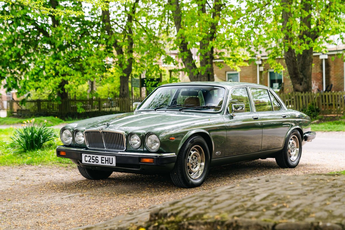 THE MARKET tweet media