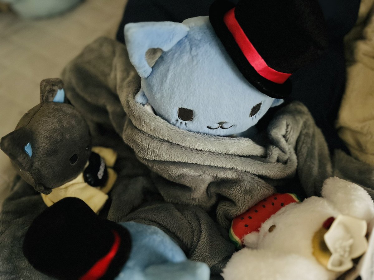 │ ˙ᵕ˙ )꜆ﾄﾞｿﾞ♡