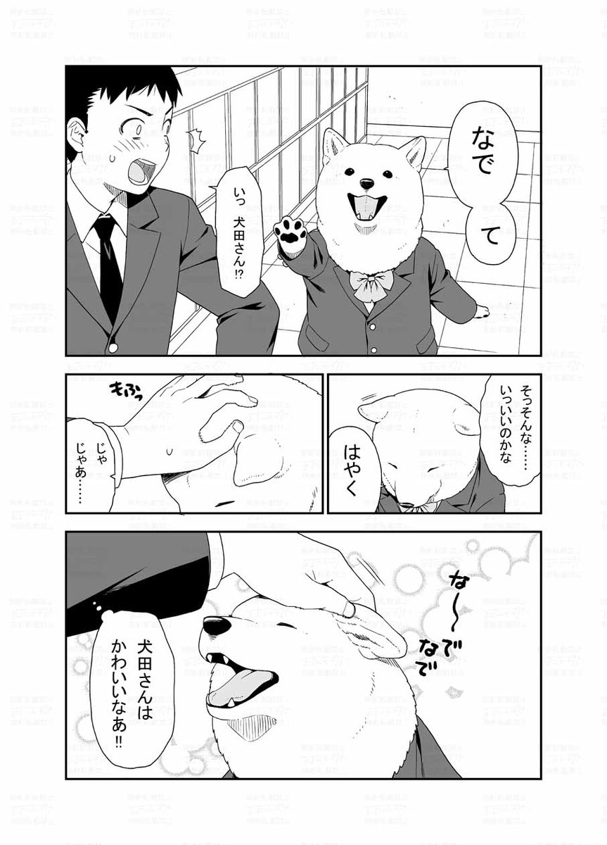 学園ラブコメ漫画です(1/2)
#犬田さん漫画 