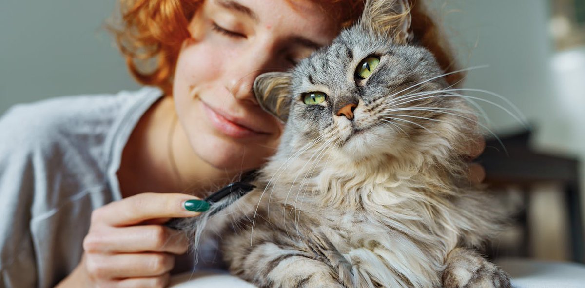 QUB - School of Psychology (@qubpsych) on Twitter photo Can cats make good therapy animals? 🐱It’s complicated. Their calming presence is real—but so are their quirks. To learn more, read the new The Conversation article by Dr <a href="/GraceACarroll/">Dr Grace Carroll</a> from <a href="/QUBPsych/">QUB - School of Psychology</a> at ow.ly/qmQE50VG6Pa
#Cats #LoveQUB Can cats make good therapy animals? 🐱It’s complicated. Their calming presence is real—but so are their quirks. To learn more, read the new The Conversation article by Dr <a href="/GraceACarroll/">Dr Grace Carroll</a> from <a href="/QUBPsych/">QUB - School of Psychology</a> at ow.ly/qmQE50VG6Pa
#Cats #LoveQUB