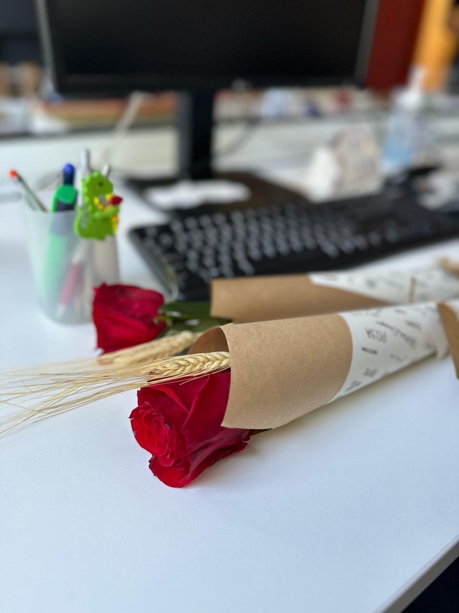 grup_efebe's tweet photo. Avui a Efebé hem celebrat #SantJordi2025 amb roses per a tot l’equip 🌹

Una acció bonica que hem fet possible amb l'Associació Saó Prat💛

Feliç Diada a tothom!

#GrupEfebé #SantJordiAmbValor #EspaisQueCuiden #SaóPrat https://t.co/qhxd4S31D8