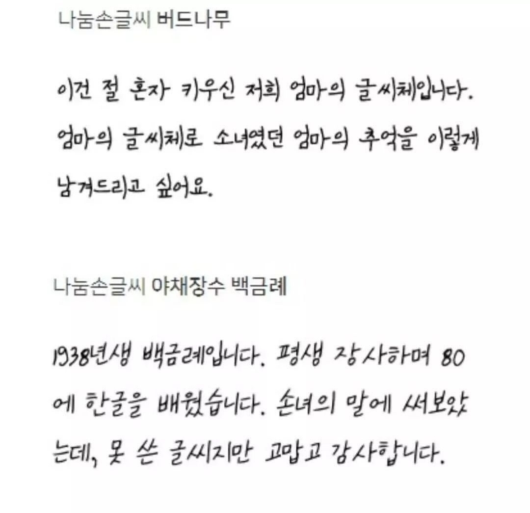 차곡차곡_teslapuppy tweet media
